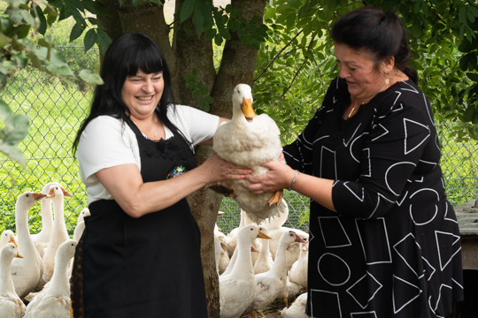 Thumbnail for Fixing/Documentary: Alpha Container Pictures for ARD/SWR